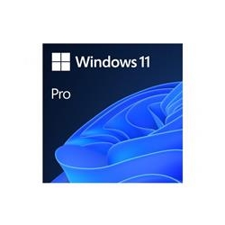 Windows 11 Professional polski OEM